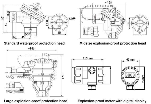RTD Sensor with transmitter, Pt100, 2 Wire(图1) RTD sensor meter and protection head type